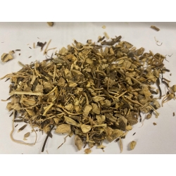 Sadziec Purpurowy Korzeń Cięty 1 Kg